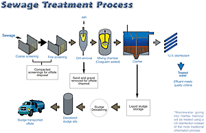 Click on image to see full-size version of Sewage Treatment Process schematic